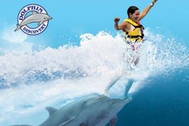 Dolphin Discovery Cayman Ltd