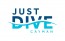Just Dive