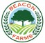 Beacon Farms