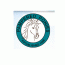Pampered Ponies Ltd.