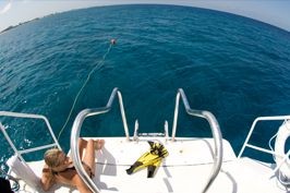 Living the Dream Divers