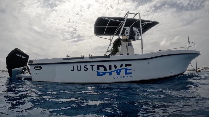 Just Dive