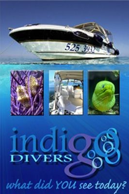 Indigo Divers