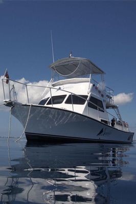 Living the Dream Divers