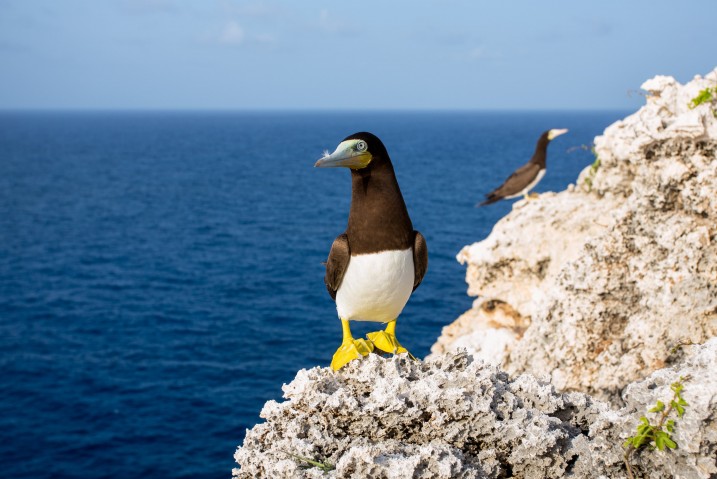 National Trust for the Cayman Islands