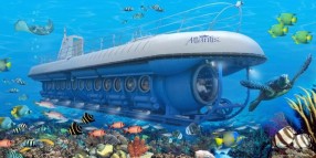 Atlantis Submarine Tour