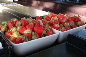Fresh Strawberries,Taste of Cayman 2012
