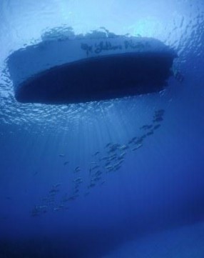 Dive Boat and Jacks by Michelle Davis, Honorable Mention Scenic