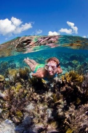 Cayman's Great Barrier Reef by Julie Corsetti, Honorable Mention Scenic