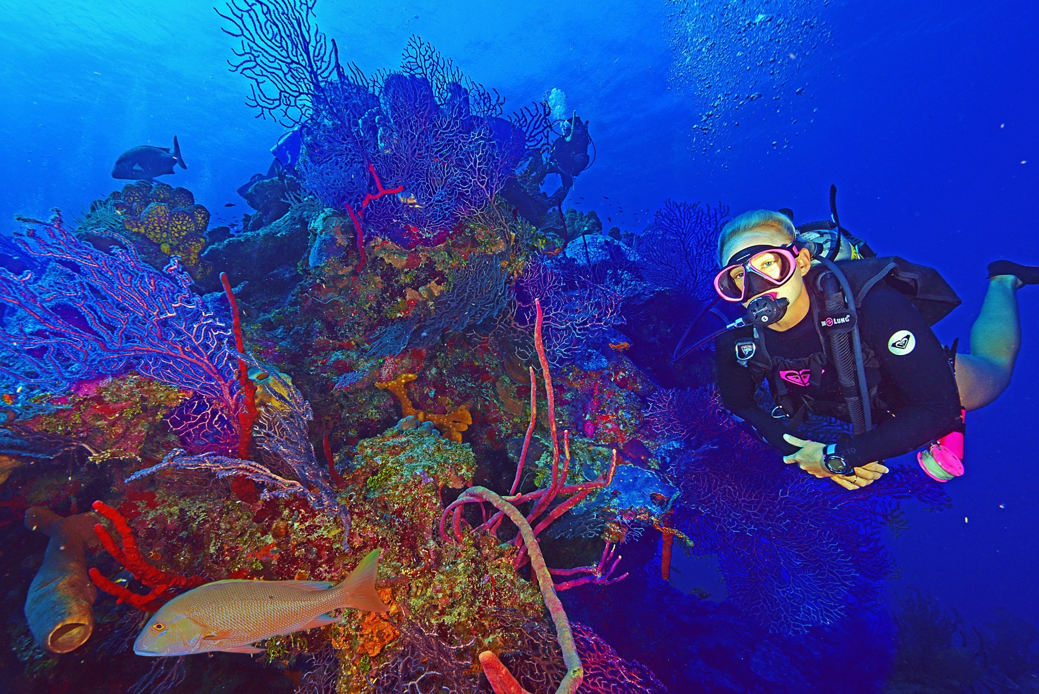 DiveTech Gets a New Managing Partner Cayman Islands
